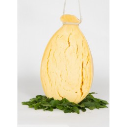 PROVOLA STAGIONATA 1KG